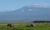3 Days Amboseli  Safari- Mount Kilimanjaro Base Tour